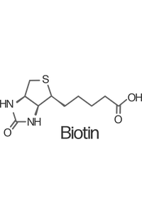 BIOTIN