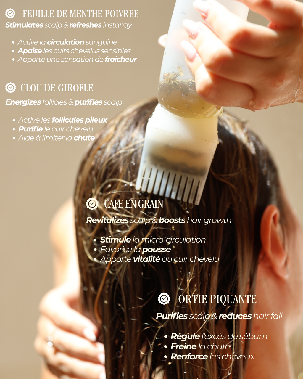 L'infusion Capillaire